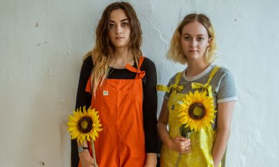 Sunflower Thieves Band